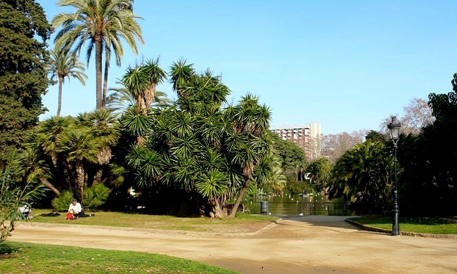 	Zona verde con palmeras, senderos y estanque en un parque de Barcelona, escenario habitual para nuestras sesiones de entrenamiento al aire libre